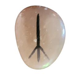 Альгиз перегорнута